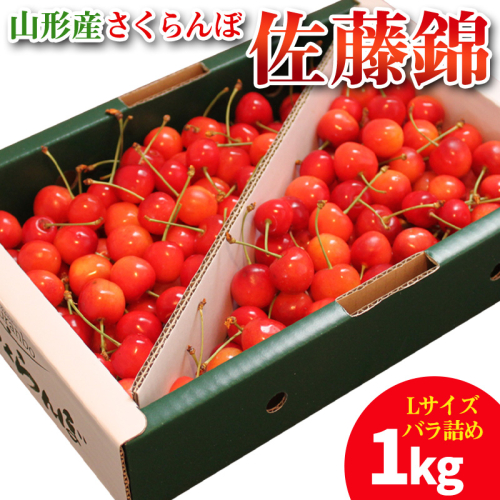 山形産 さくらんぼ 佐藤錦 1kg Lサイズ バラ詰め FY25-099 2108104 - 山形県山形市