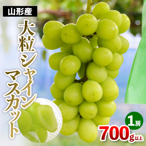大粒 シャインマスカット 1房(700g以上) FY25-108 2108105 - 山形県山形市