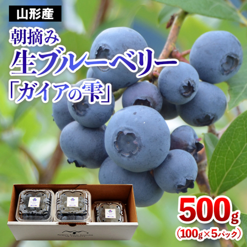 山形の朝摘み生ブルーベリー「ガイアの雫」500g(100g×5パック) FY25-109 2108106 - 山形県山形市