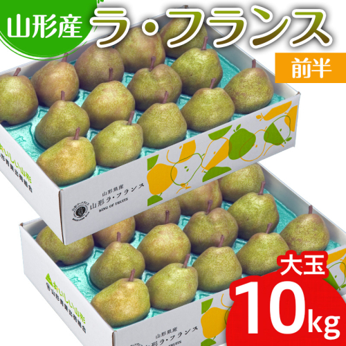 山形のラ・フランス大玉 10kg(20～28玉) 前半 FY25-111 2108110 - 山形県山形市