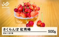 2025年 山形県産　さくらんぼ　訳あり 双子果 紅秀峰 500g sn-bswxx500