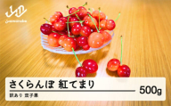 2025年 山形県産　さくらんぼ　訳あり 双子果  紅てまり  500g  sn-btwxx500
