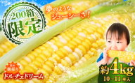 【5月下旬から順次発送】【限定数量】スイートコーン(ドルチェドリーム)約4kg【なかむら農園】 [BHCJ002]