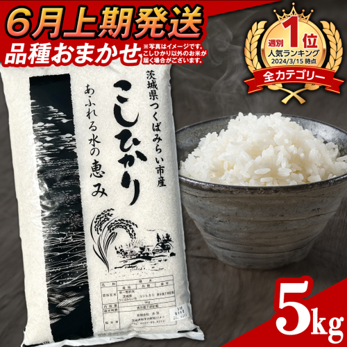 【 6月上期発送 / 数量限定 】茨城県産 精米 5kg (品種おまかせ） 令和6年産 こしひかり 米 コメ こめ 単一米 限定 茨城県産 国産 美味しい お米 おこめ おコメ 2108493 - 茨城県つくばみらい市