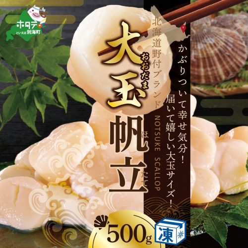 北海道 野付産 冷凍ホタテ 貝柱 大玉（Sサイズ）ホタテ500ｇ（ほたて ホタテ 帆立 ふるさと納税 お届け） 210849 - 北海道別海町