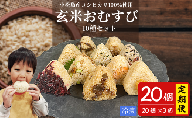 定期便 玄米 おむすび 10種セット20個 コシヒカリ おにぎり ご飯 ごはん 米 こめ 玄米 鮭 じゃこ 阿波牛 ゆず みそ うめ ひじき きくらげ おかか レンジ 国産 冷凍おにぎり 簡単 調理 朝ごはん お昼ごはん 弁当 遠足 おやつ ダイエット 美容 健康 小松島市 徳島 【北海道、東北、離島、沖縄配送不可】