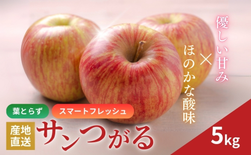 りんご 長野 スマートフレッシュ サンつがる 5kg たっぷり楽しめる 葉とらず 産地直送 フルーツ 果物 デザート おやつ リンゴ 林檎 さんつがる 秋 旬 スムージー ジャム 信州 長野県 長野県産 2024 2024年 210861 - 長野県駒ヶ根市