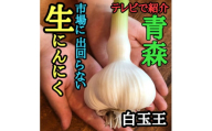 青森生にんにく11玉★年に1度、収穫時期しか食べられない逸品です★【1619308】