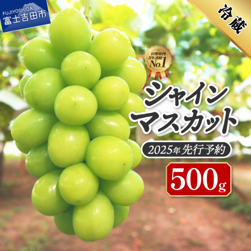 【2025年先行予約】ジューシーで甘さ抜群　厳選シャインマスカット500g 2108755 - 山梨県富士吉田市