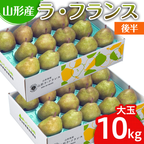 山形のラ・フランス大玉 10kg(20～28玉) 後半 FY25-112 2108757 - 山形県山形市