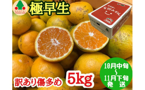 訳あり 傷多め 極早生 有田 みかん 5kg L～SS サイズおまかせ 南泰園 和歌山 有田みかん 210881 - 和歌山県有田川町