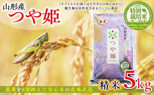 令和6年度産 山形産 「つや姫」5kg (精米) 特別栽培米 8割減農薬・9割減化学肥料（当地比）【カブトエビが泳ぐほそやさんの田んぼから】微生物を活性化させるワーコム栽培 FY25-125 2108840 - 山形県山形市
