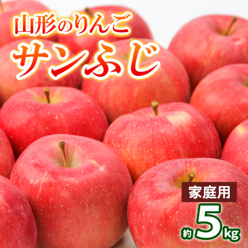 【家庭用】山形のりんご サンふじ 約5kg(10～20個) FY25-128 2108847 - 山形県山形市