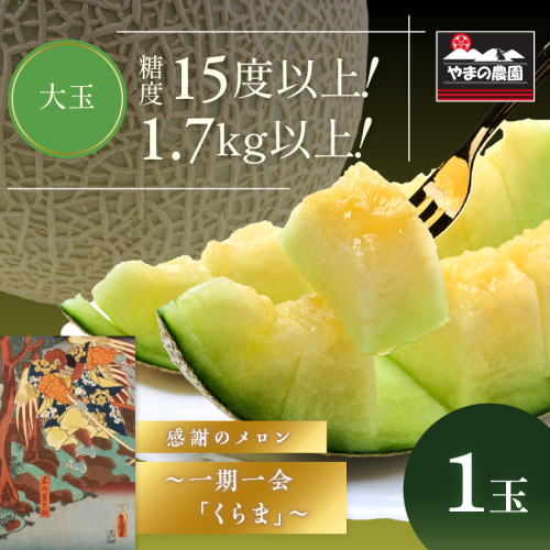 やまの農園 感謝のメロン～一期一会「くらま」～1玉≪先行予約≫【2027年7月中旬より順次発送予定】 210900 - 和歌山県御坊市