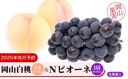 岡山白桃2玉(約500g)&Nピオーネ1房約500g化粧箱入 2109442 - 岡山県鏡野町