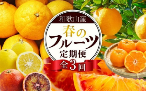 定期便全3回 【2月・3月・4月発送】 和歌山の春の柑橘 （ポンカン・はるか・ブラッドオレンジ）秀品【TM173】 2109862 - 和歌山県那智勝浦町