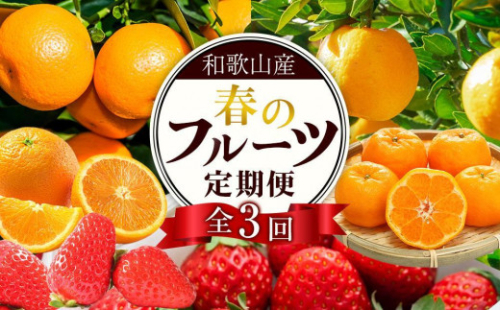 定期便全3回 【2月・3月・4月発送】 和歌山の春のフルーツ （ポンカン・清見オレンジ・まりひめ）【TM174】 2109867 - 和歌山県那智勝浦町