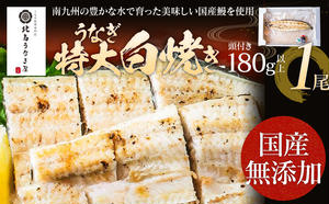 うなぎの白焼（1尾）頭付き180g以上　【丑の日7/5〜7/16のお届け】AE02-u1 2109870 - 福岡県大木町