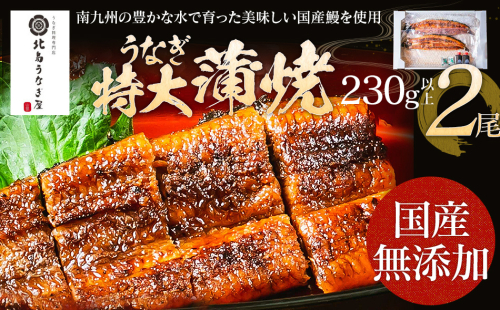 うなぎの特大蒲焼（2尾）230g以上×2尾　【丑の日7/17〜7/28のお届け】AE04-u2 2109892 - 福岡県大木町