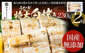 うなぎの特大白焼き（2尾）230g以上×2尾　【丑の日7/17〜7/28のお届け】AE05-u2 2109894 - 福岡県大木町