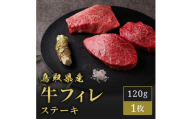 【和牛セレブ】鳥取県産牛ヒレステーキ 120g×１枚
