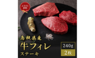 【和牛セレブ】鳥取県産牛ヒレステーキ 120g×２枚