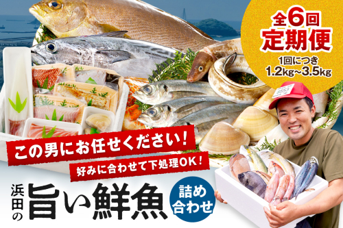 この男魅せる！～浜田の旨い鮮魚6回お届けコース～ プレミアム 鮮魚 定期便 6回 セット 詰め合わせ お取り寄せ 旬 【006_1703】 2109972 - 島根県浜田市