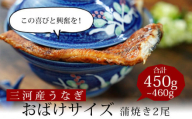 【土用の丑の日までにお届け】国産うなぎ 三河産 おばけうなぎ蒲焼き2尾（2尾合計450～460g）うなぎ 超特大 おばけサイズ 2尾 本格 鰻 蒲焼 愛知県 西尾市 愛知養魚 惣菜 海鮮 ウナギ 丑の日 土用の丑の日 A126-20-c1
