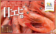 鶴岡市鼠ヶ関港水揚げ　船上箱詰め甘エビ（小）　1.1kg　【市制施行20周年記念返礼品】　羽前丸水産