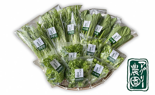 アグリー農園水耕栽培おまかせお野菜セット 2110523 - 三重県名張市