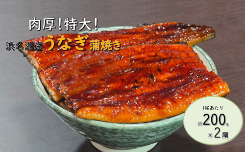 工場直送！特大!!浜名湖産うなぎ蒲焼き 真空パック 約200g×2尾 タレ・山椒付き うなぎ 鰻 ウナギ 蒲焼 冷凍 浜松市 静岡 2110697 - 静岡県浜松市