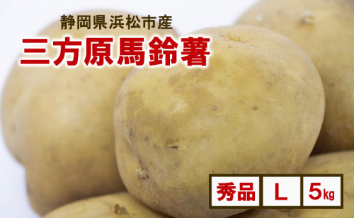 静岡県浜松市産 三方原馬鈴薯 秀品 L 5kg 男爵 じゃがいも じゃが芋 ジャガイモ 国産 野菜 浜松市 2110698 - 静岡県浜松市