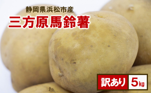 静岡県浜松市産 訳あり 三方原馬鈴薯 5kg 男爵 じゃがいも じゃが芋 ジャガイモ 国産 野菜 浜松市 2110700 - 静岡県浜松市