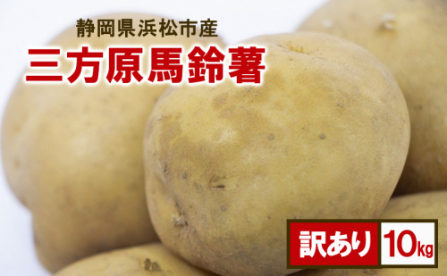 静岡県浜松市産 訳あり 三方原馬鈴薯 10kg 男爵 じゃがいも じゃが芋 ジャガイモ 国産 野菜 浜松市 2110701 - 静岡県浜松市