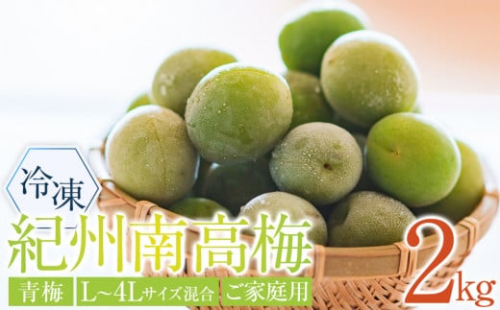 冷凍 紀州南高梅 青梅   約2kg   L～4Lサイズ混合 ご家庭用 2110851 - 和歌山県上富田町