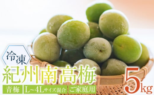 冷凍 紀州南高梅 青梅   約5kg   L～4Lサイズ混合 ご家庭用 2110852 - 和歌山県上富田町