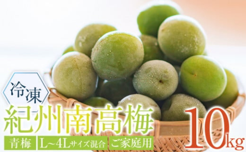 冷凍 紀州南高梅 青梅 約10kg L～4Lサイズ混合 ご家庭用 2110853 - 和歌山県上富田町