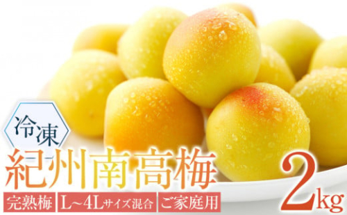 冷凍 紀州南高梅 完熟梅   約2kg   L～4Lサイズ混合 ご家庭用 2110854 - 和歌山県上富田町