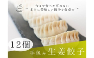 餃子 手包み生姜餃子 Sパック 12個入り 餃子屋はまだ