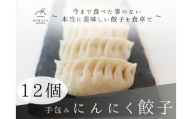 餃子 手包みにんにく餃子 Sパック 12個入り 餃子屋はまだ