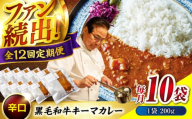 【全12回定期便】　秘密の黒毛和牛キーマカレー10袋　カレー 冷凍 辛口 レストラン おすすめ 人気 福山 広島県福山市/株式会社グリル壱乃藏[BACI012]