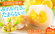 【全3回定期便】お菓子 はっさく大福12個入 お菓子 大福 八朔 柑橘 みかん オレンジ 餅 ギフト お取り寄せ スイーツ フルーツ大福 ご当地 菓子 おかし デザート 食品 人気 おすすめ 広島県福山市/株式会社虎屋本舗[BADH014]