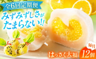 【全6回定期便】お菓子 はっさく大福12個入 お菓子 大福 八朔 柑橘 みかん オレンジ 餅 ギフト お取り寄せ スイーツ フルーツ大福 ご当地 菓子 おかし デザート 食品 人気 おすすめ 広島県福山市/株式会社虎屋本舗[BADH015]