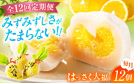 【全12回定期便】お菓子 はっさく大福12個入 お菓子 大福 八朔 柑橘 みかん オレンジ 餅 ギフト お取り寄せ スイーツ フルーツ大福 ご当地 菓子 おかし デザート 食品 人気 おすすめ 広島県福山市/株式会社虎屋本舗[BADH016]
