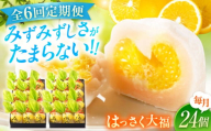 【全6回定期便】お菓子 はっさく大福12個入×2　 お菓子 大福 八朔 柑橘 みかん オレンジ 餅 ギフト お取り寄せ スイーツ フルーツ大福 ご当地 菓子 おかし デザート 食品 人気 おすすめ 広島県福山市/株式会社虎屋本舗[BADH019]