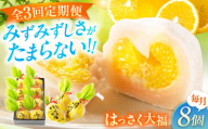 【全3回定期便】お菓子 はっさく大福8個入　 お菓子 大福 八朔 柑橘 みかん オレンジ 餅 ギフト お取り寄せ スイーツ フルーツ大福 ご当地 菓子 おかし デザート 食品 人気 おすすめ 広島県福山市/株式会社虎屋本舗[BADH022]