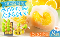 【全6回定期便】お菓子 はっさく大福8個入　 お菓子 大福 八朔 柑橘 みかん オレンジ 餅 ギフト お取り寄せ スイーツ フルーツ大福 ご当地 菓子 おかし デザート 食品 人気 おすすめ 広島県福山市/株式会社虎屋本舗[BADH023]