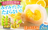 【全12回定期便】お菓子 はっさく大福8個入　 お菓子 大福 八朔 柑橘 みかん オレンジ 餅 ギフト お取り寄せ スイーツ フルーツ大福 ご当地 菓子 おかし デザート 食品 人気 おすすめ 広島県福山市/株式会社虎屋本舗[BADH024]