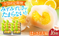 【全3回定期便】お菓子 はっさく大福8個入×2　 お菓子 大福 八朔 柑橘 みかん オレンジ 餅 ギフト お取り寄せ スイーツ フルーツ大福 ご当地 菓子 おかし デザート 食品 人気 おすすめ 広島県福山市/株式会社虎屋本舗[BADH026]