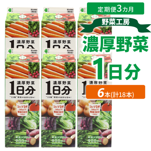 【定期便3カ月】野菜工房　濃厚野菜1日分 6本 | 野菜 ドリンク ジュース 砂糖不使用 食塩不使用 朝食 野菜ジュース 飲みやすい 便利 手軽 おいしい 美味しい 茨城県 古河市 _DT16 2111211 - 茨城県古河市
